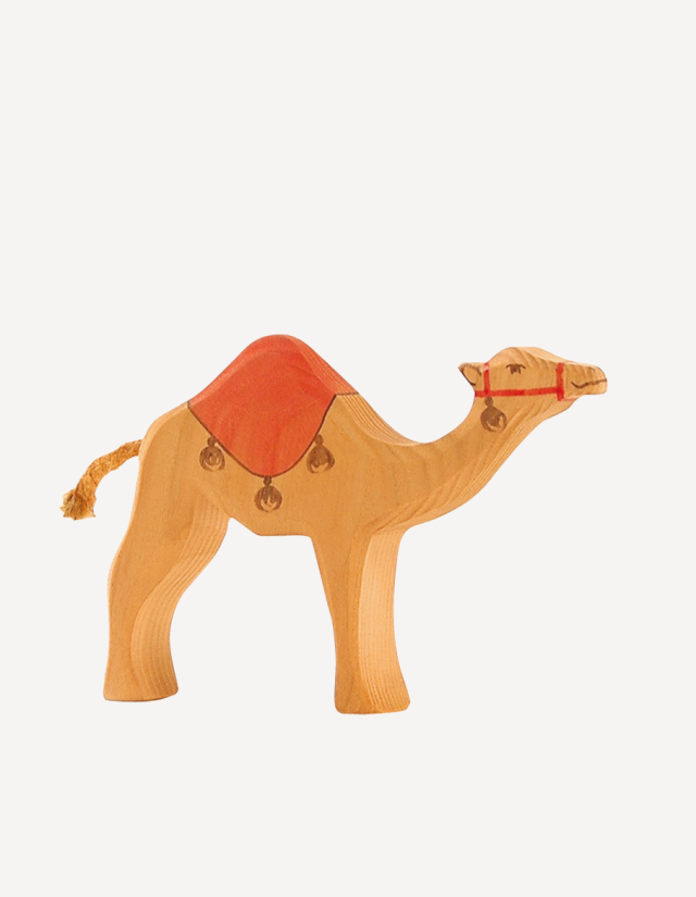 Kamel, Sattel